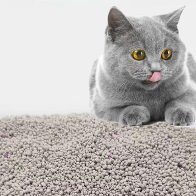 OEM/ODM Manufacturers Natural Sodium Cat Sand Odor Lock Dust Free Clumping Premium Bentonite Cat Litter