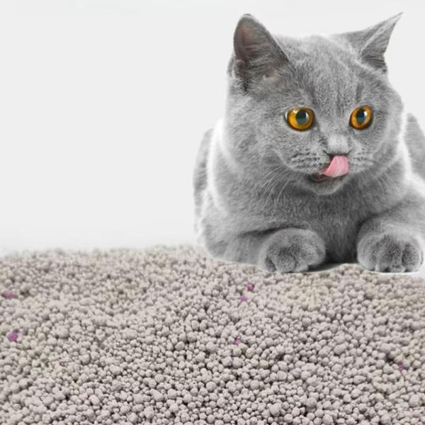 OEM/ODM Manufacturers Natural Sodium Cat Sand Odor Lock Dust Free Clumping Premium Bentonite Cat Litter