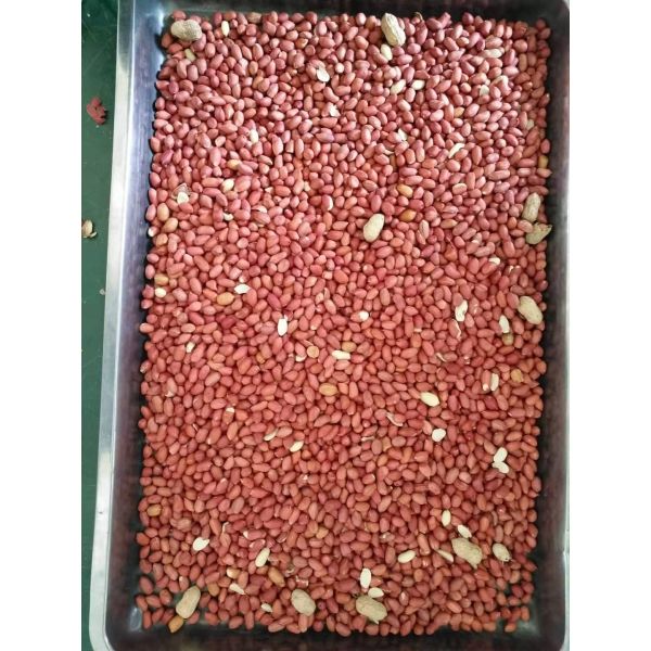 High Luminance 3.0t/H Rice Ccd Color Sorter Machine