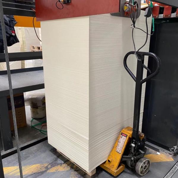 O PE dobro deslocado revestiu a matéria prima 320g de papel para os copos de papel