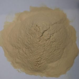 High-Purity Enzymatic Hydrolyzed Soy Protein Powder with 80% Amino Acid Content for Enhanced Fermentation Efficiency
