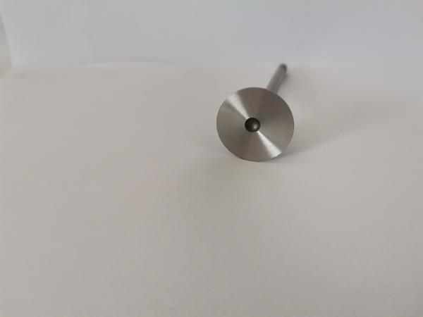 VOLKSWAGEN AMAROK Diesel Engine Spare Parts Exhaust Valves V74105