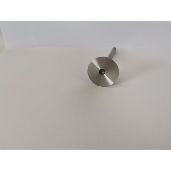 VOLKSWAGEN AMAROK Diesel Engine Spare Parts Exhaust Valves V74105