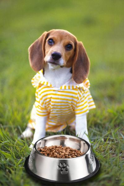 Stainless Steel Dog Bowls, Dog Feeding Bowls, Dog Plate Bowls with Rubber Base,Small Pet Feeder Water Bowls