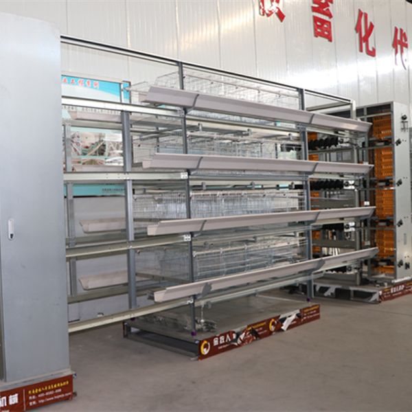 jaula de batería automática de Suráfrica de la jaula de las aves de corral del pollo de la capa de 4Tiers 160Birds Uzbekistán