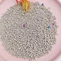 Produits pour animaux de compagnie Bentonite Enracinement Litter de chat Naturel Préliminaires faciles
