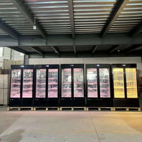 Steak Age Meat Maturing Fridge Dry Aging Machine 2 Doors