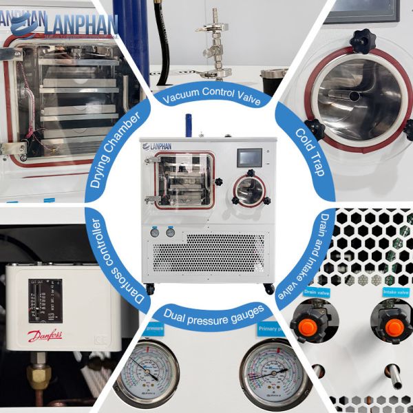 Laboratory Freeze Dryer Vacuum Drying Machine For Biological Pharmaceutical Food Product Formulation