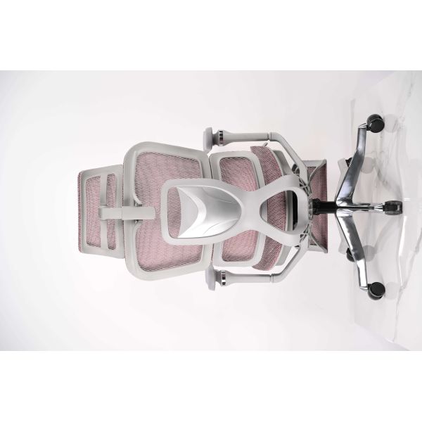 High Back Ergonomic Office Chair With 3D Headrest / 5D Armrest