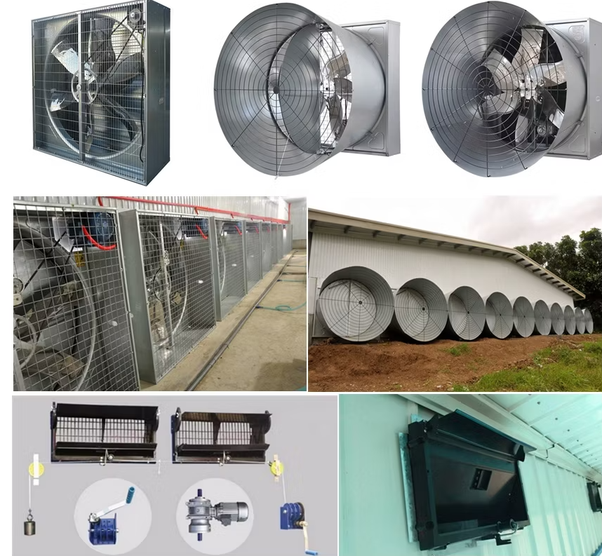 Automatic Poultry Feeding System with Galvanized Steel Construction and Automatic Feeding Control for Chicken Farm Equipment