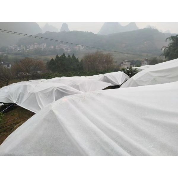 Winter Protection Cloth Polypropylene Non Woven Fabric Cold Proof Breathable