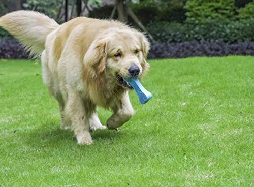 Non Toxic Rubber Dog Tough Chew Toys , Chew Resistant Dog Toys Dental Oral Care