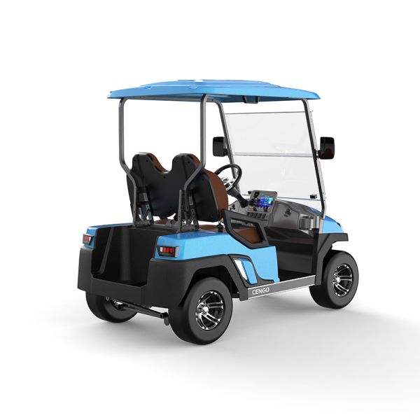 Affordable 2 Seat Electric Golf Buggy Perfect for Family and Hunting on the Beach