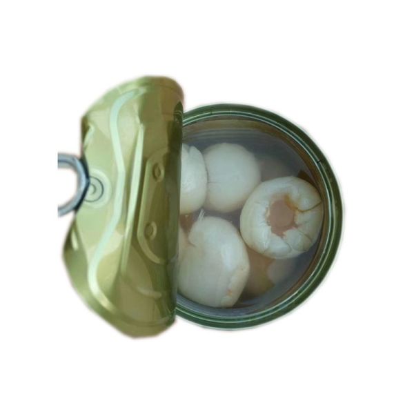567g Can Food Canned Lychee Fruit In Light Syrup Whole Broken