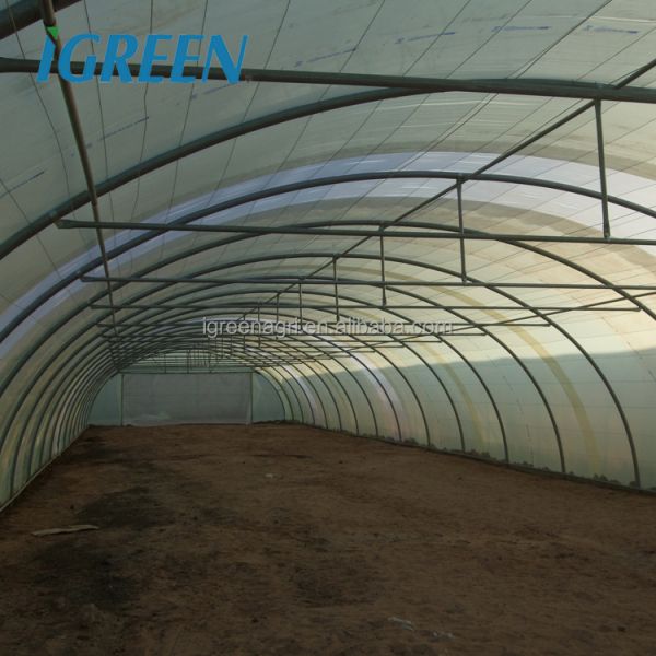 IGreen PE Single-span Agricultural Poly Film Tunnel Greenhouse with Zinc Coated Steel Frame for Tomato Growing
