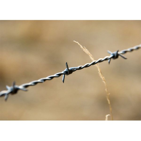 Защита фермы двойные скрученные горячо оцинкованные катушки из колючей проволоки