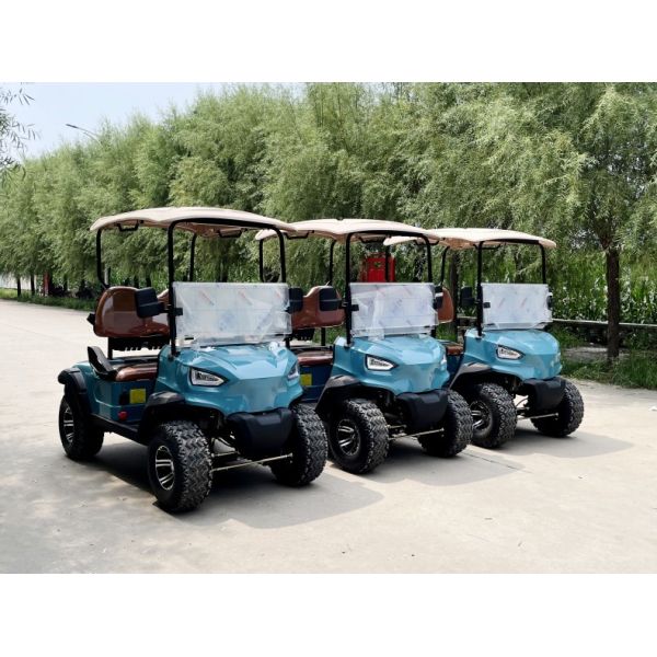 GCC Market 4 Seater Electric Golf Cart with High Grade Ability and Convertible Design