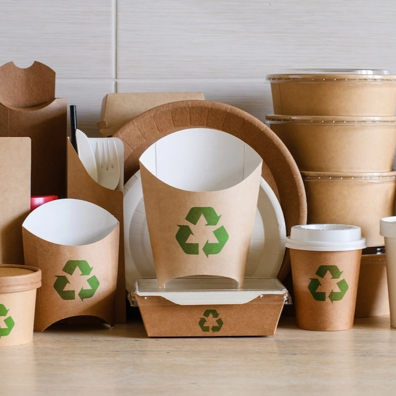 150gsm To 350gsm Uncoated Cupstock Base Paper For Hot And Cold Drink Cups