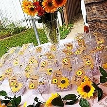 Plastic Clear Gift Boxes For Wedding,Birthday,Easter Mother'S Father'S Day Party PP Box, PET Box, Gift Package