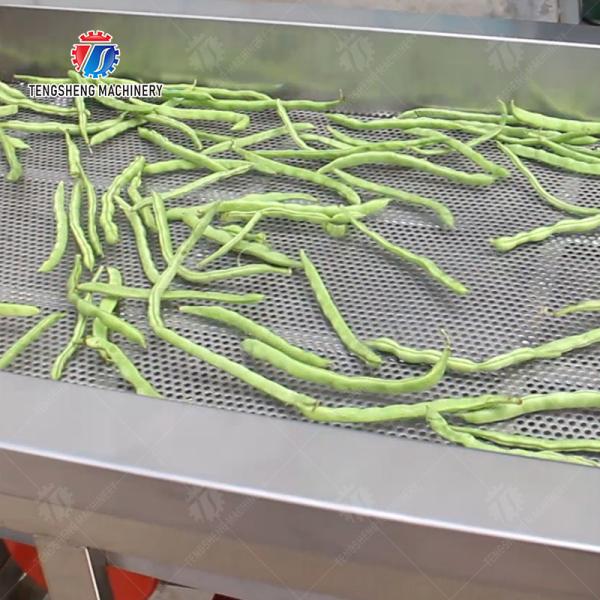 Fruit and vegetable washing and vibrating drying production line Fruit Vegetable FOOD processing production Machine Versatile and Durable Fruit Vegetable Processing Line for Your Business Processin