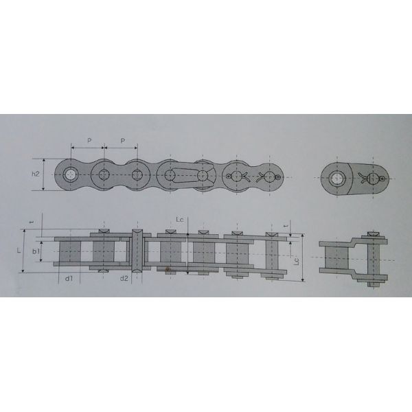 3mm Thickness Simplex Roller Chains , AISI Stainless Steel 80SS Transmission Parts