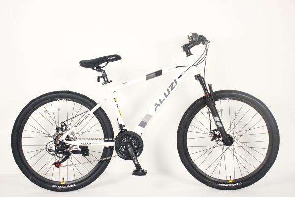 OEM 21 Speed MTB Mountain Bikes With Shimano Tourney Front Derailleur