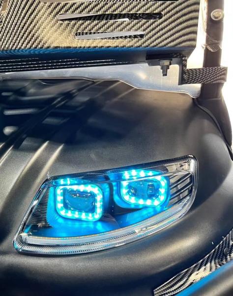 EV4+2G 25mph Electrical Golf Cart Customizable Color High End Upgradeable