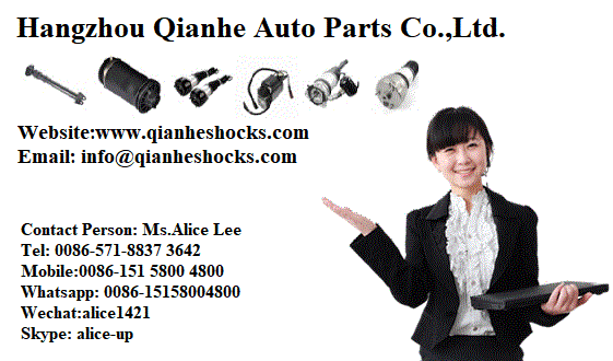 For Phaeton Rear Left Air Suspension Parts Air Strut Suspension 3D0616001J 3D0616001N 3D0616001F 3D0616001K