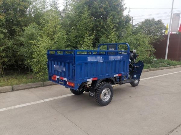 Egypr 3 Wheel Gasoline Motorcycle 200CC Cargo Tricycle