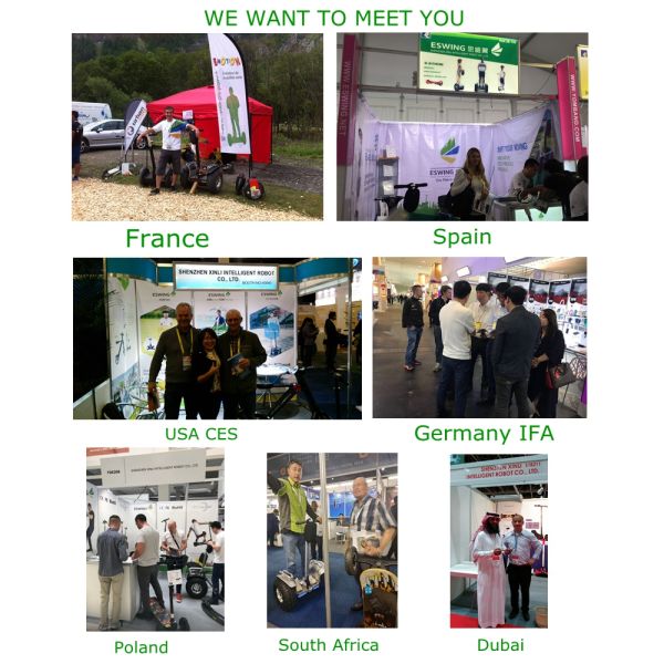 Chongqing Huanhong Trading Co., Ltd.