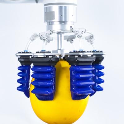 Gripper пищевой промышленности 800g всеобщий мягкий пневматический