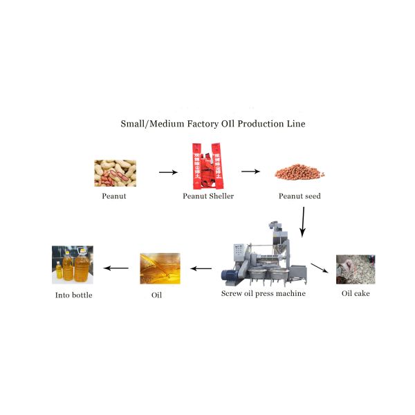 Linha de óleo de amendoim linha de produção de óleo de amendoim média máquina de prensagem de óleo na China