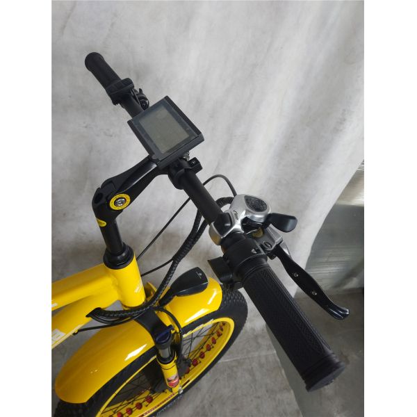 750W Central Motor Fat Tire Electric Rickshaw with Aluminum Carrier and Passenger Seat