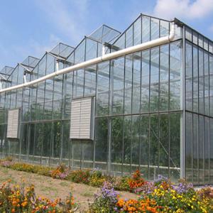 Outdoor Backyard Greenhouse Large Prefabricated Greenhouse Structures Customized