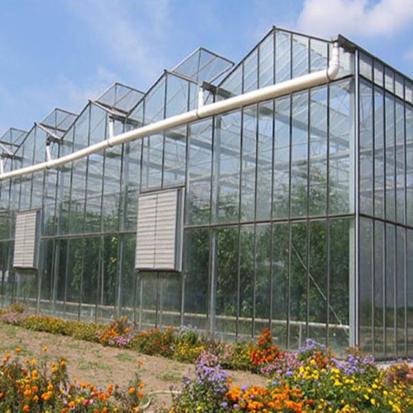 Outdoor Backyard Greenhouse Large Prefabricated Greenhouse Structures Customized Size Aluminium Glass Green House Thermal insulation
