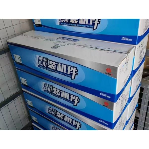 Weichai X6170 P11 fuel injection pump 1002376848 genuine parts 