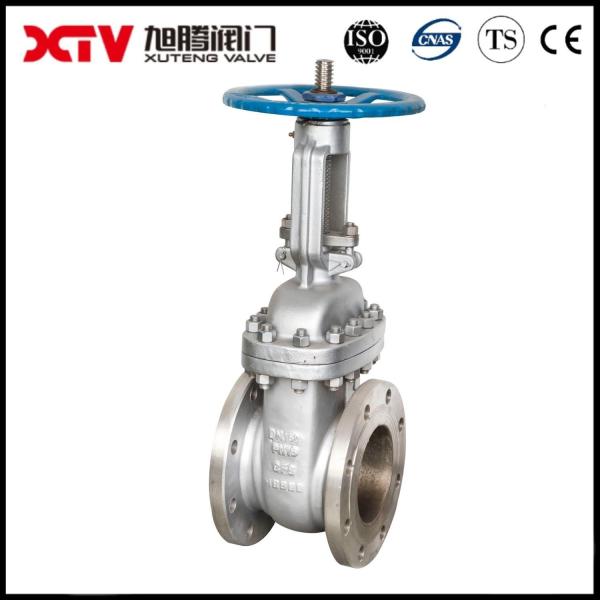 Ordinary Pressure GOST/ Russian Standard Flanged Gate/Globe/Stop Valve Customization