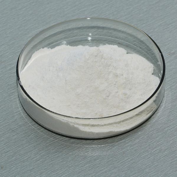 Enzyme qui décompose l'amidon 4000U/g Pour les aliments Alcool et textiles