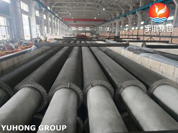 Serrated Finned Tubes Stainless Steel ASTM A312 TP304H For Furnace