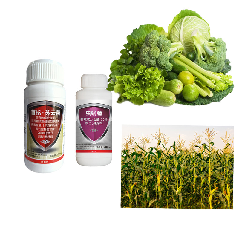AcNPV Bt Chlorfenapyr SC Пестициды для фруктовых деревьев Корни капусты Инсектицид для червей