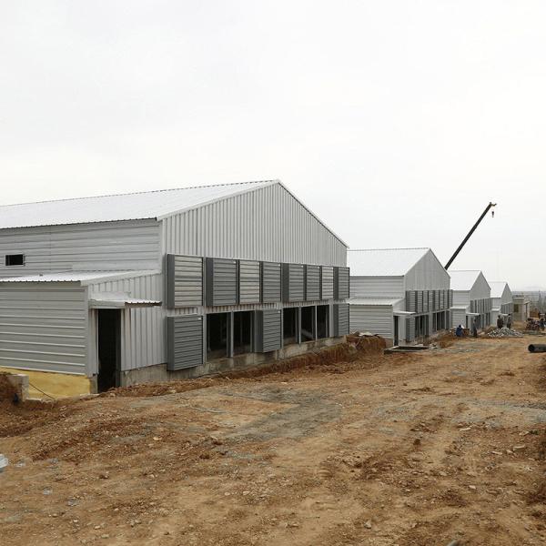 Environmental Controlled Prefab Steel Structure Poultry Chicken Shed