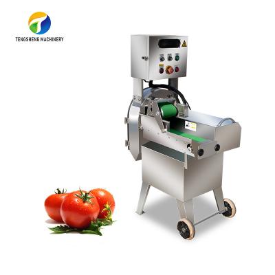 Cabeça Tengsheng da máquina de processamento do vegetal de couve chinesa do aipo única