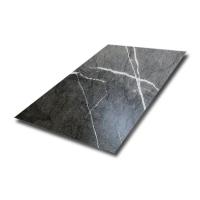 Hoja de acero inoxidable decorativa laminada los 0.6m del modelo de madera 0.8m m 1.5m m