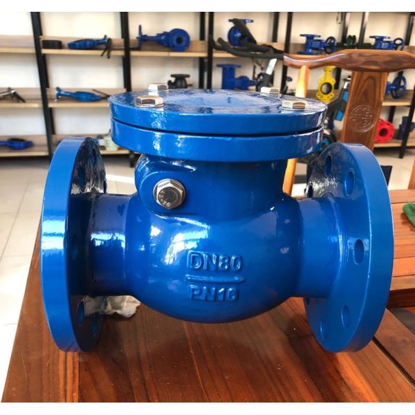 cast iron flanged swing check valve SIZE DN80 PRESSURE PN16