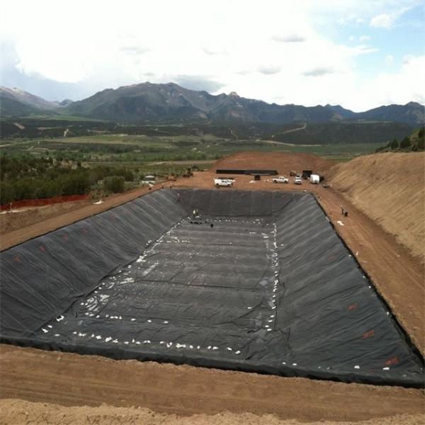 Waterproof 1mm HDPE Geomembrane Pond Liner for Water Tank and Swimming Pool at Affordable