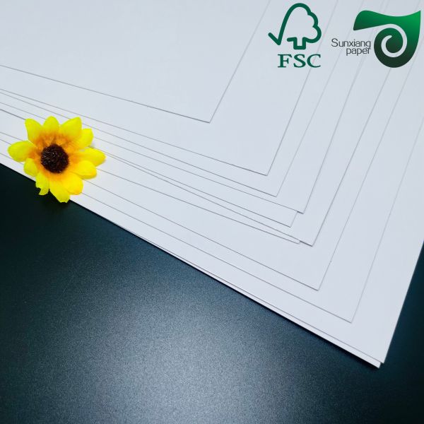 FSC Glossy Couche Paper  Coated Offset Paper 90gsm 100GSM 64cm 90CM
