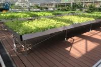 Agricultura Tableros de cultivo para invernadero