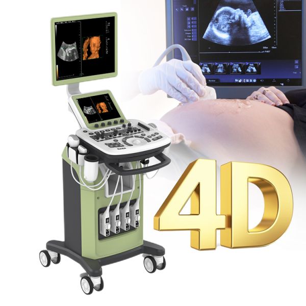 Zoncare 3D/4D Trolley Medical Digital Color Doppler Ultrasound System for Hospital