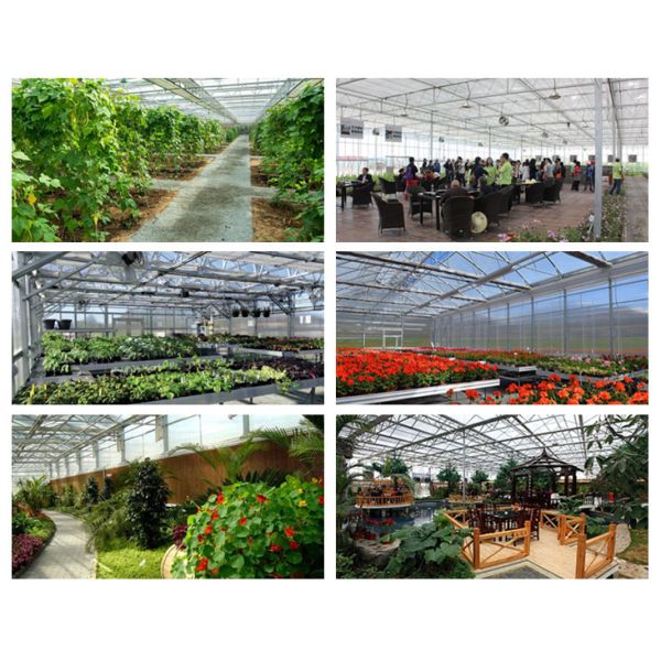 Polycarbonate PC Sheet Greenhouse With Irrigation Equipment