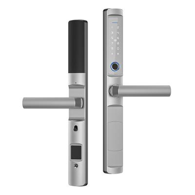 Sliding Electric TTlock Smart Lock Keyless Biometric Door Lock